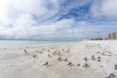 Lake House Direct Beachfront 3B2B Gulf - Beach Place #408, , on Madeira Beach in Florida - Lakehouse Vacation Rental - Lake Home for rent on LakeHouseVacations.com