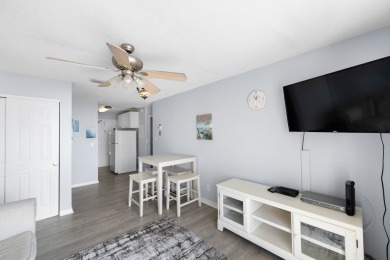 Lake House 1br 1b Beach View - Surf Song #332, , on Madeira Beach in Florida - Lakehouse Vacation Rental - Lake Home for rent on LakeHouseVacations.com