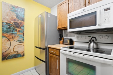 Lake House Direct Beach Front 1b 1b Balcony - Surf Song #240, , on Madeira Beach in Florida - Lakehouse Vacation Rental - Lake Home for rent on LakeHouseVacations.com