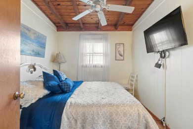 Lake House Coastal Cottage with Ocean Views, Just Steps to the Beach!, , on Atlantic Ocean - Virginia Beach  in Virginia - Lakehouse Vacation Rental - Lake Home for rent on LakeHouseVacations.com