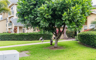 Lake House NEW! Waikoloa Hills 2 Bedroom, 2 Bathroom Condo, Pool and Golf!, , on Big Island - Waikoloa in Hawaii - Lakehouse Vacation Rental - Lake Home for rent on LakeHouseVacations.com