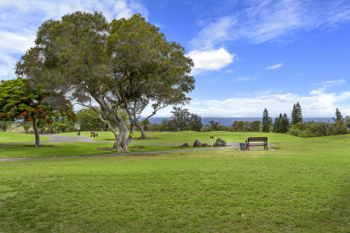 Lake House WAIKOLOA VILLAGE CONDO#E10 GOLF COURSE FRONTAGE, OCEAN VIEWS, GREAT STUDIO!, , on Big Island - Waikoloa in Hawaii - Lakehouse Vacation Rental - Lake Home for rent on LakeHouseVacations.com