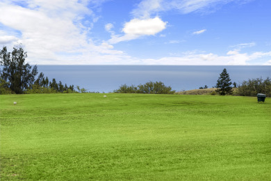 Lake House WAIKOLOA VILLAGE CONDO#E10 GOLF COURSE FRONTAGE, OCEAN VIEWS, GREAT STUDIO!, , on Big Island - Waikoloa in Hawaii - Lakehouse Vacation Rental - Lake Home for rent on LakeHouseVacations.com