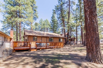 Lake House LOG CABIN! NEW HOT TUB! WALK to LAKE & SLOPES. Great Family cabin and PETS, , on Big Bear Lake in California - Lakehouse Vacation Rental - Lake Home for rent on LakeHouseVacations.com