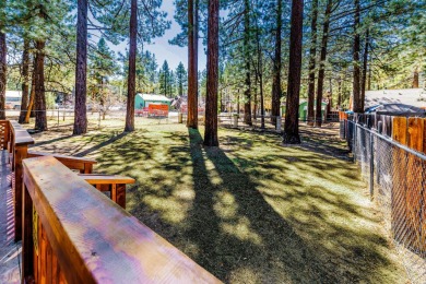 Lake House LOG CABIN! NEW HOT TUB! WALK to LAKE & SLOPES. Great Family cabin and PETS, , on Big Bear Lake in California - Lakehouse Vacation Rental - Lake Home for rent on LakeHouseVacations.com