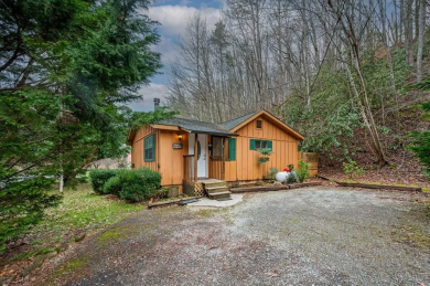 Lake House Bear Footin' Cabin Cozy Arts & Crafts Retreat with Hot Tub!, , on Gatlinburg in Tennessee - Lakehouse Vacation Rental - Lake Home for rent on LakeHouseVacations.com