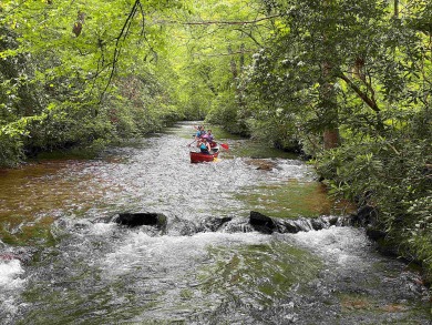 Lake House Fishing, Swimming, Kayaking, Hot Tub, Dog Friendly, , on Nottely River - Union County in Georgia - Lakehouse Vacation Rental - Lake Home for rent on LakeHouseVacations.com