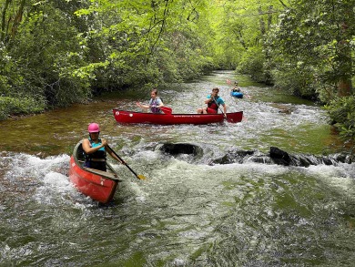 Lake House Fishing, Swimming, Kayaking, Hot Tub, Dog Friendly, , on Nottely River - Union County in Georgia - Lakehouse Vacation Rental - Lake Home for rent on LakeHouseVacations.com