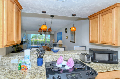 Lake House Cozy Coastal Getaway 1 Bed 1 Bath Siesta Key Condo Steps to Beach , , on  in Florida - Lakehouse Vacation Rental - Lake Home for rent on LakeHouseVacations.com