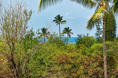 Lake House Keauhou Punahele#E-202 1st Floor, Spacious Lanai, Personal BBQ, VERY Quiet, , on Big Island - Kailua-Kona Bay in Hawaii - Lakehouse Vacation Rental - Lake Home for rent on LakeHouseVacations.com