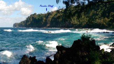 Lake House Paradise Bluff Cliffside Home wGorgeous Ocean Views and Tropical Garden, , on  in Hawaii - Lakehouse Vacation Rental - Lake Home for rent on LakeHouseVacations.com