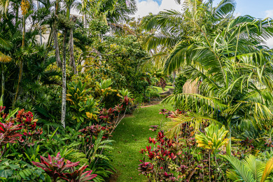 Lake House Paradise Bluff Cliffside Home wGorgeous Ocean Views and Tropical Garden, , on  in Hawaii - Lakehouse Vacation Rental - Lake Home for rent on LakeHouseVacations.com