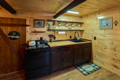 Lake House Romantic, cute and comfy rustic cabin with amazing view!, , on Douglas Lake in Tennessee - Lakehouse Vacation Rental - Lake Home for rent on LakeHouseVacations.com