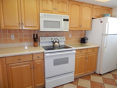 Lake House Miles of Gulf Views! 2BR 2BA 6th Floor Siesta Key Beach wBeach Access, , on  in Florida - Lakehouse Vacation Rental - Lake Home for rent on LakeHouseVacations.com