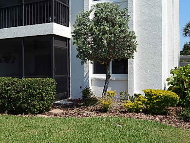 Lake House Siesta Key 2 Bed 2 Bath Ground Floor with Gulf Views Steps to the Beach, , on  in Florida - Lakehouse Vacation Rental - Lake Home for rent on LakeHouseVacations.com