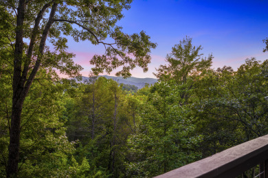 Lake House Cozy Couple Escape Close to Downtown - New Remodel!, , on Gatlinburg in Tennessee - Lakehouse Vacation Rental - Lake Home for rent on LakeHouseVacations.com