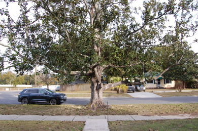 Lake House Airfield Escape Perfect for TDY stays! 30 night minimum , , on Gulf of Mexico - Biloxi in Mississippi - Lakehouse Vacation Rental - Lake Home for rent on LakeHouseVacations.com