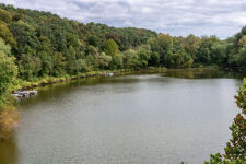Lake House The Shady Pine @ Barren River Lake, , on Barren River Lake in Kentucky - Lakehouse Vacation Rental - Lake Home for rent on LakeHouseVacations.com