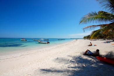 Lake House Ak Villa-Akumal Bay, the ONLY villa on the prettiest beach in Paradise!, , on  in Quintana Roo - Lakehouse Vacation Rental - Lake Home for rent on LakeHouseVacations.com