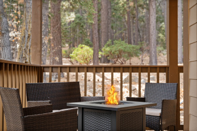 Lake House NEW 5-STAR Cabin! Awesome Game Room, Walk to the Forest, gas fire pit & MORE!, , on  in California - Lakehouse Vacation Rental - Lake Home for rent on LakeHouseVacations.com
