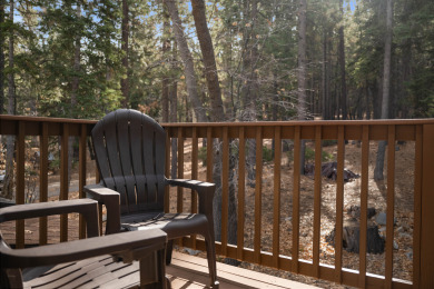 Lake House NEW 5-STAR Cabin! Awesome Game Room, Walk to the Forest, gas fire pit & MORE!, , on  in California - Lakehouse Vacation Rental - Lake Home for rent on LakeHouseVacations.com