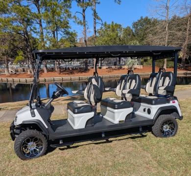 Lake House Beautiful House - Sleeps 13 - Two 6 seater Golf Carts!, , on  in Florida - Lakehouse Vacation Rental - Lake Home for rent on LakeHouseVacations.com