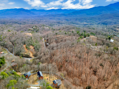 Lake House Fly High in Gatlinburg - 3BR Cabin with Hot Tub & Rustic Elegance!, , on  in Tennessee - Lakehouse Vacation Rental - Lake Home for rent on LakeHouseVacations.com