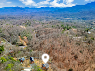 Lake House Fly High in Gatlinburg - 3BR Cabin with Hot Tub & Rustic Elegance!, , on  in Tennessee - Lakehouse Vacation Rental - Lake Home for rent on LakeHouseVacations.com