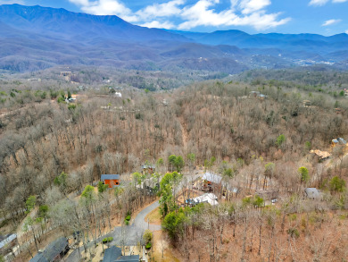 Lake House Fly High in Gatlinburg - 3BR Cabin with Hot Tub & Rustic Elegance!, , on  in Tennessee - Lakehouse Vacation Rental - Lake Home for rent on LakeHouseVacations.com