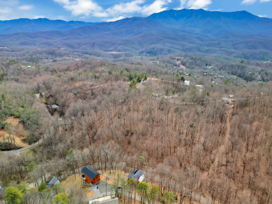 Lake House Fly High in Gatlinburg - 3BR Cabin with Hot Tub & Rustic Elegance!, , on  in Tennessee - Lakehouse Vacation Rental - Lake Home for rent on LakeHouseVacations.com