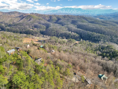 Lake House Rockin' Views - 2BR Cabin with Game Room & Hot Tub near Dollywood!, , on  in Tennessee - Lakehouse Vacation Rental - Lake Home for rent on LakeHouseVacations.com