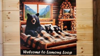 Lake House Lamon's Loop Get Ready to Circle Back for More Smoky Mountain Fun!, , on  in Tennessee - Lakehouse Vacation Rental - Lake Home for rent on LakeHouseVacations.com