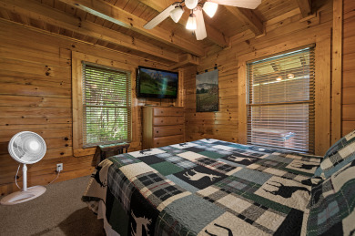 Lake House Mountain Paws Smoky Mountain Escape Views in Pigeon Forge!, , on  in Tennessee - Lakehouse Vacation Rental - Lake Home for rent on LakeHouseVacations.com