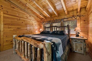 Lake House Mountain Paws Smoky Mountain Escape Views in Pigeon Forge!, , on  in Tennessee - Lakehouse Vacation Rental - Lake Home for rent on LakeHouseVacations.com