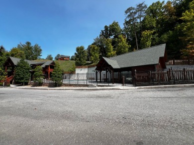 Lake House Mountain Paws Smoky Mountain Escape Views in Pigeon Forge!, , on  in Tennessee - Lakehouse Vacation Rental - Lake Home for rent on LakeHouseVacations.com