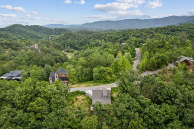 Lake House Dive into Luxury - Sevierville Cabin with Private Pool & Game Room!, , on  in Tennessee - Lakehouse Vacation Rental - Lake Home for rent on LakeHouseVacations.com
