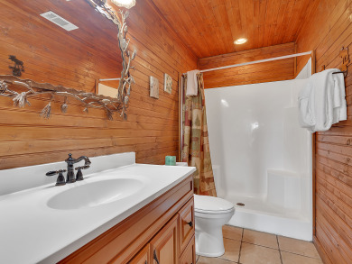 Lake House Top Notch Views - 6BR Cabin with Game Room near Dollywood!, , on  in Tennessee - Lakehouse Vacation Rental - Lake Home for rent on LakeHouseVacations.com