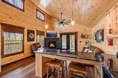 Lake House Enjoy amazing mountain views in your rustic yet modern cabin - Fire pit!, , on  in Tennessee - Lakehouse Vacation Rental - Lake Home for rent on LakeHouseVacations.com