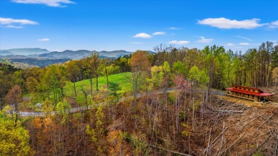 Lake House Enjoy amazing mountain views in your rustic yet modern cabin - Fire pit!, , on  in Tennessee - Lakehouse Vacation Rental - Lake Home for rent on LakeHouseVacations.com