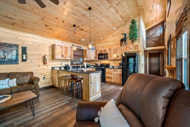 Lake House Enjoy amazing mountain views in your rustic yet modern cabin - Fire pit!, , on  in Tennessee - Lakehouse Vacation Rental - Lake Home for rent on LakeHouseVacations.com