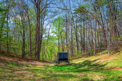 Lake House Enjoy amazing mountain views in your rustic yet modern cabin - Fire pit!, , on  in Tennessee - Lakehouse Vacation Rental - Lake Home for rent on LakeHouseVacations.com