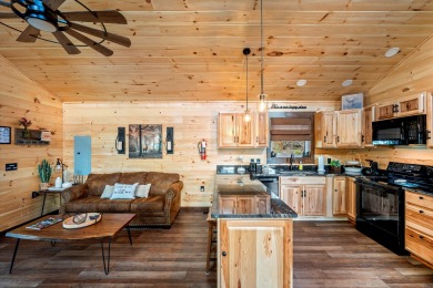 Lake House Enjoy amazing mountain views in your rustic yet modern cabin - Fire pit!, , on  in Tennessee - Lakehouse Vacation Rental - Lake Home for rent on LakeHouseVacations.com