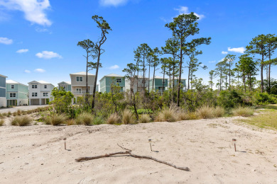 Lake House Serenity Shoreline-Brand New - Summer Salt Neighborhood-Signature Properties, , on  in Alabama - Lakehouse Vacation Rental - Lake Home for rent on LakeHouseVacations.com