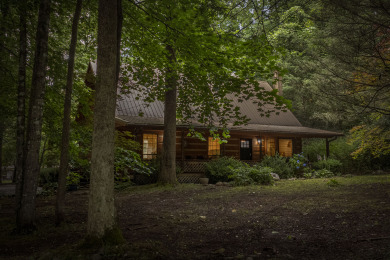 Lake House Relax in or near the creek next to your cabin! Fire Pit, Hot Tub., , on  in Tennessee - Lakehouse Vacation Rental - Lake Home for rent on LakeHouseVacations.com