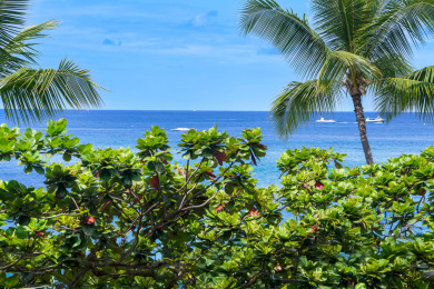 Lake House Oceanfront Paradise in the Heart of Kailua Kona with AC & Stunning Views, , on  in Hawaii - Lakehouse Vacation Rental - Lake Home for rent on LakeHouseVacations.com