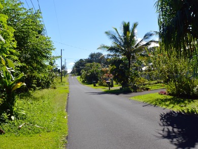 Lake House SUMMERFALL LOW RATES Popa a Palms, 2 Blocks from the Ocean, , on  in Hawaii - Lakehouse Vacation Rental - Lake Home for rent on LakeHouseVacations.com