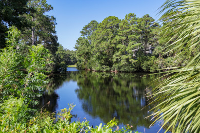 Lake House 15 Wagon Road Walk to the beach! Private Pool with Lagoon View!, , on  in South Carolina - Lakehouse Vacation Rental - Lake Home for rent on LakeHouseVacations.com