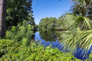 Lake House 15 Wagon Road Walk to the beach! Private Pool with Lagoon View!, , on  in South Carolina - Lakehouse Vacation Rental - Lake Home for rent on LakeHouseVacations.com