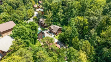 Lake House An Entertainment Factory! - Theater Room, Game Room, Hot Tub, Covered Deck, , on  in Tennessee - Lakehouse Vacation Rental - Lake Home for rent on LakeHouseVacations.com