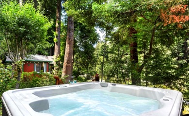 Lake House CozyCreekCabin-Swimming Hole!Cottage On Pristine Creek! Magical!WiFiPupHtTb, , on  in California - Lakehouse Vacation Rental - Lake Home for rent on LakeHouseVacations.com